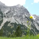Allgaeuer Stocker In Hopferau-fuessen Hopferau