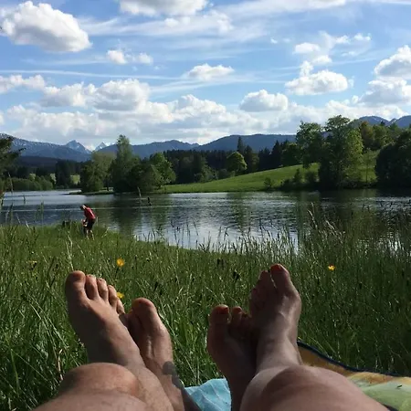 Allgaeuer Stocker In Hopferau-fuessen Hopferau