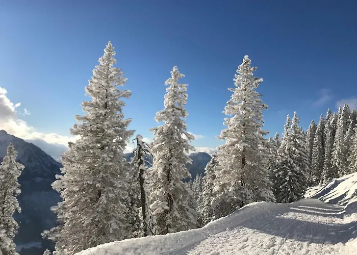 Allgäuer Stocker In Hopferau-füssen