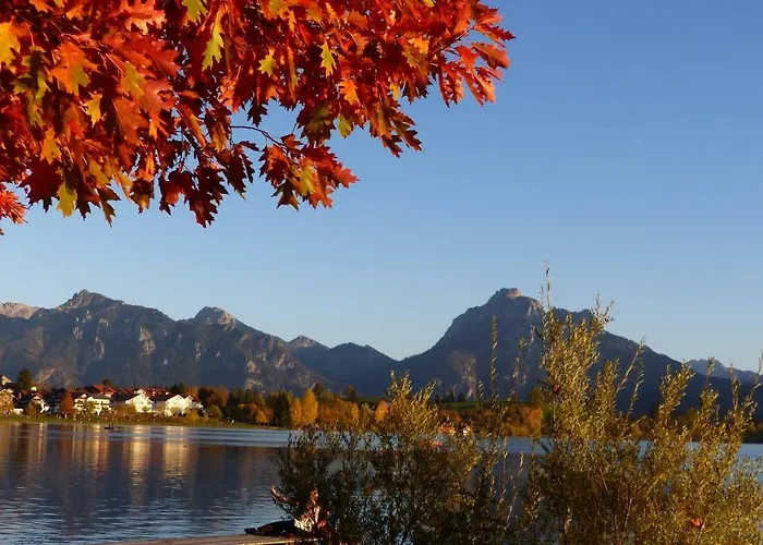Allgäuer Stocker In Hopferau-füssen *
