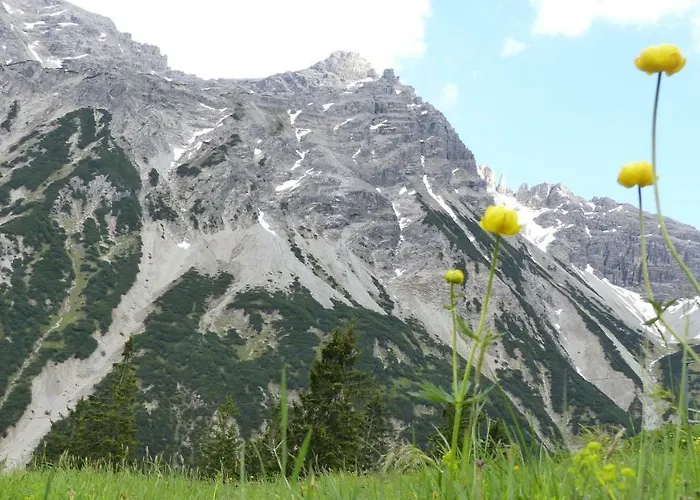 Allgäuer Stocker In Hopferau-füssen Hopferau
